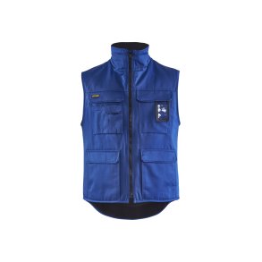 Vinter vest